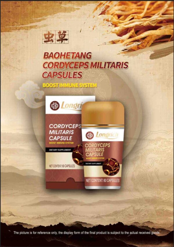 Cordyceps Militaris de Longrich, RENFORCE LE SYSTÈME IMMUNITAIRE - Image 4