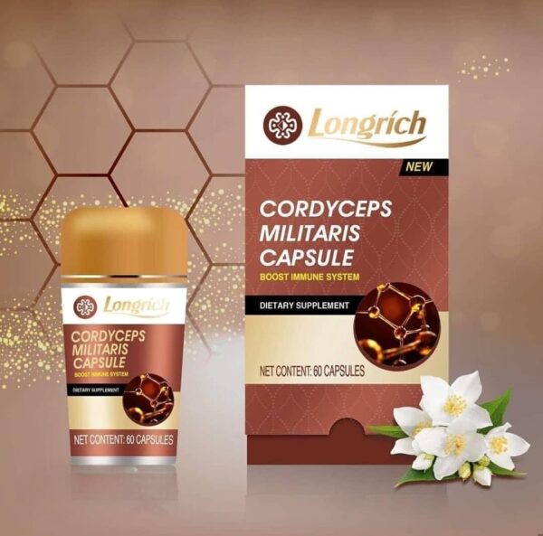 Cordyceps Militaris de Longrich, RENFORCE LE SYSTÈME IMMUNITAIRE