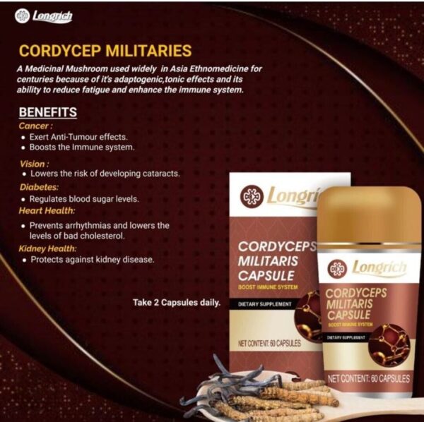 Cordyceps Militaris de Longrich, RENFORCE LE SYSTÈME IMMUNITAIRE - Image 2